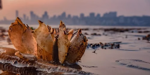 Maritime Walk at Juhu Koliwada