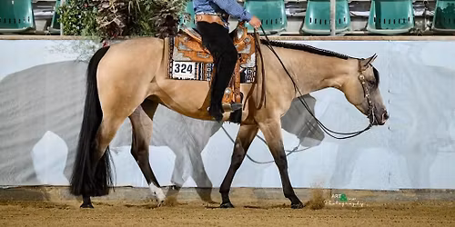 Klinika z Francesco Bassi - edycja wiosenna 2026 - western pleasure, trail, western riding :)