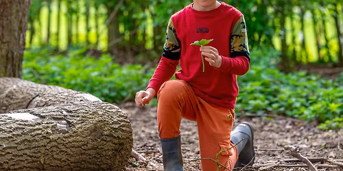 Home Educators Seedlings