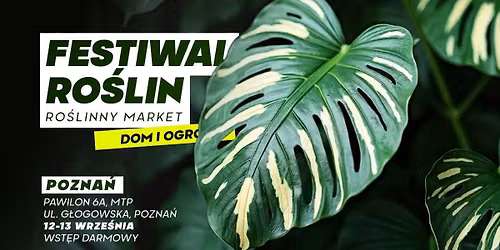 Festiwal Ro\u015blin w Poznaniu - wielki market ro\u015blin w supercenach