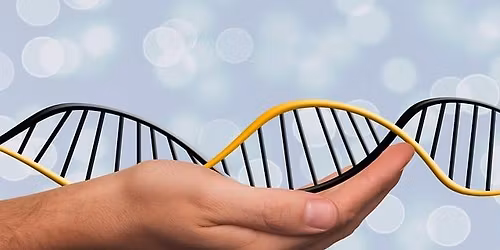 Free DNA Activation Talk