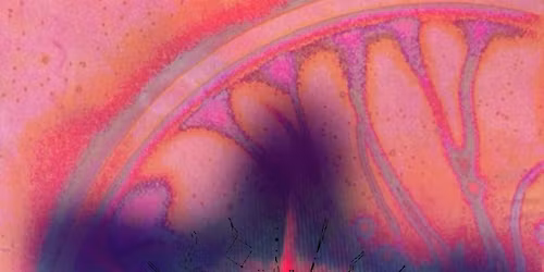 Expand Freedom with Klubb TA PLASS