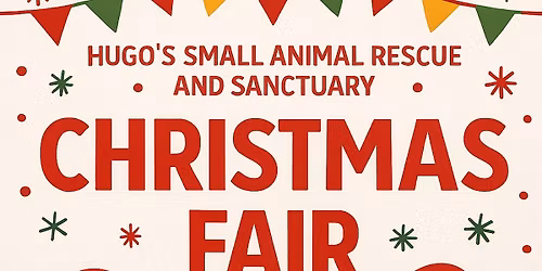 Hugo\u2019s First Christmas Fair 2025!