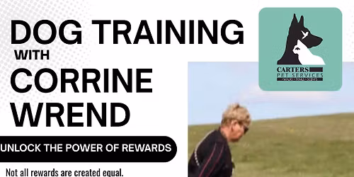 Unlock The Power of Rewards with Corrine Wrend, Rugby CV23