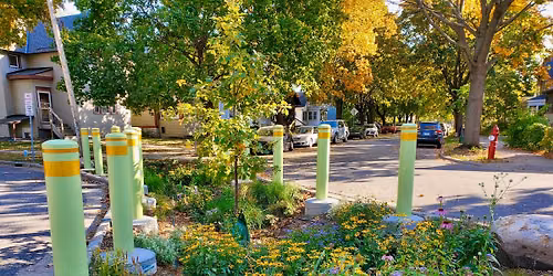 Diverter Rain Garden