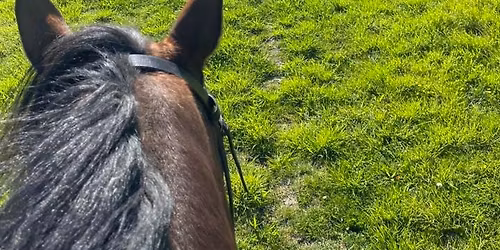 North Otago Riding Club (NORC) Derby Training Day