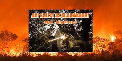 Adj egy es\u00e9lyt az olajf\u00e1knak! - a Gondoskod\u00f3 Forradalom adom\u00e1nygy\u0171jt\u0151 \u00e9s k\u00f6z\u00f6ss\u00e9g\u00e9p\u00edt\u0151 esem\u00e9nye