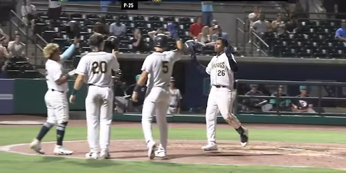 Lynchburg Hillcats at Charleston RiverDogs