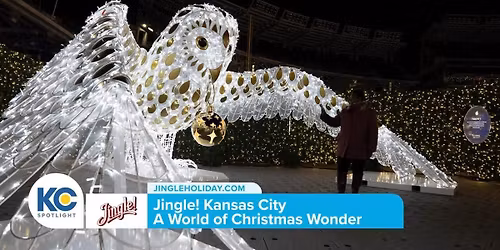 Jungle Seattle Tickets