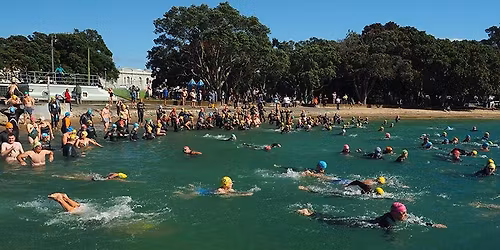 The 2026 Round North Head Classic swim