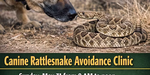 Canine Rattlesnake Avoidance Clinic