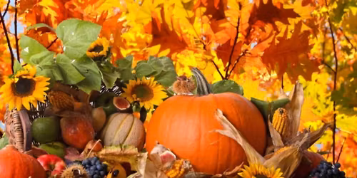 3rd Annual North Peoria Turkey Trot 