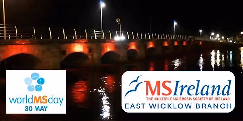 MS Ireland - East Wicklow Branch Christmas Lunch