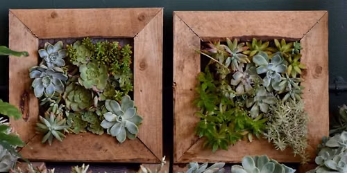 Succulent Wall Frame Workshop