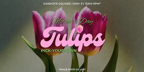 Mother's Day Pick Your Own Tulips Experience