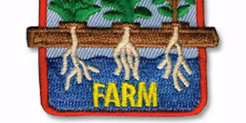 ONLINE GIRL SCOUT WORKSHOP: HYDROPONIC GARDENING