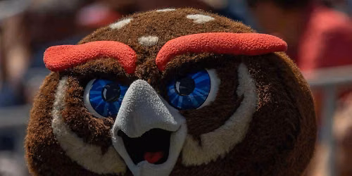 Louisiana-Monroe Warhawks vs. Florida Atlantic Owls