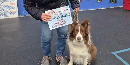 Good Dog I- Beginner Class