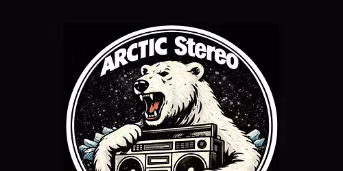 ARCTIC STEREO KILLERS - 