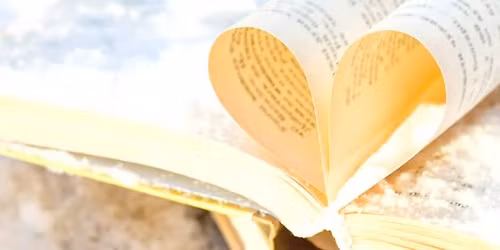 Stories in the Woods