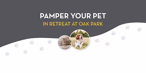 Pamper Your Pet in Retreat at Oak Park | Central Living by David Weekley Homes Houston