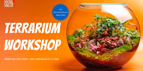Terrarium Workshop Date - Chennai
