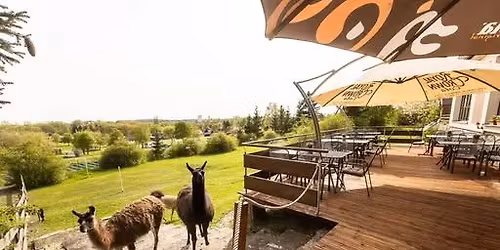 Za turistikou do krajiny Bo\u017eeny N\u011bmcov\u00e9 2026