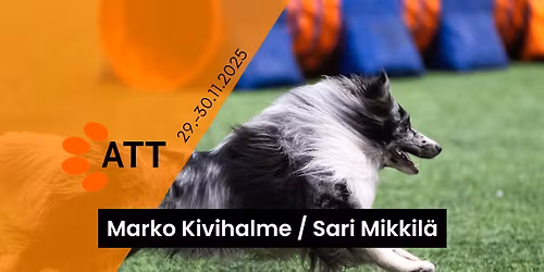 ATT marraskuun kisat 2025