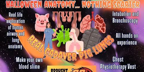 What's Creepier Than Some Anatomy?