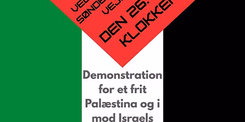 Demonstration for et frit Pal\u00e6stina og imod Israels selektive d\u00f8dsstraf