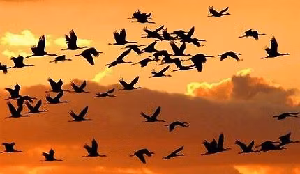 Darules a szegedi Feh\u00e9r-t\u00f3n\u00e1l 11.29.