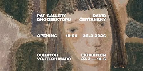 D\u00e1vid \u010cer\u0165ansk\u00fd: Dno desktopu 