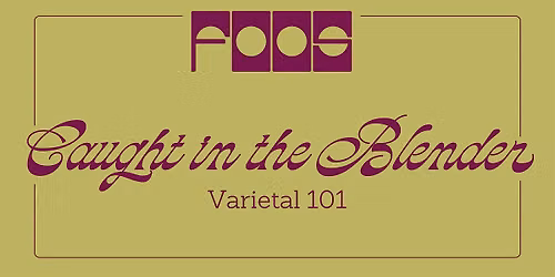Wine Curious to Wine Confident: Caught in the Blender