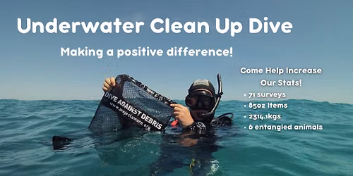 Underwater Clean Up Dive