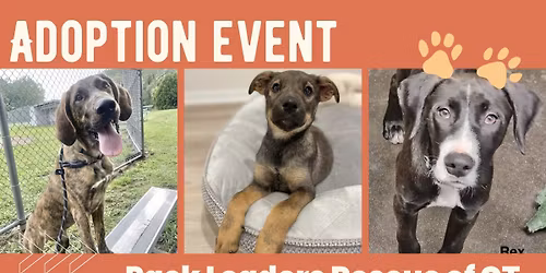 Pack Leaders Rescue Adoption Event