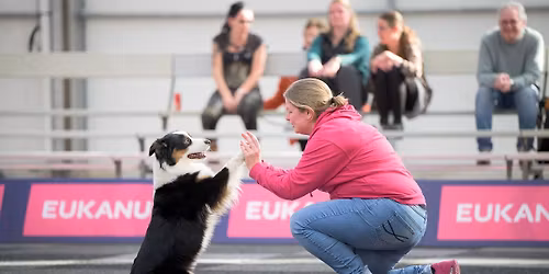 Dogdance Wedstrijd K.V. Rijnland