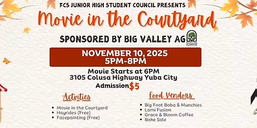 Movie in the Courtyard