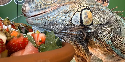 \ud83c\udf37Mothers Day Special Pricing \ud83c\udf37