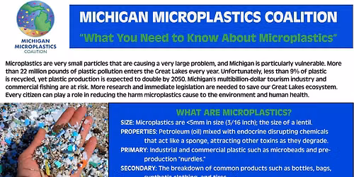 What You Need to Know About Microplastics