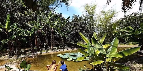 Adventure Day: Spring into Nature