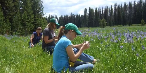 Summer 2026 Master Naturalist Course