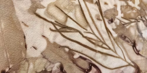 Lagoons Gallery Exhibition - 'Exploring the Power of the Natural Environment' by Felicity Chapman