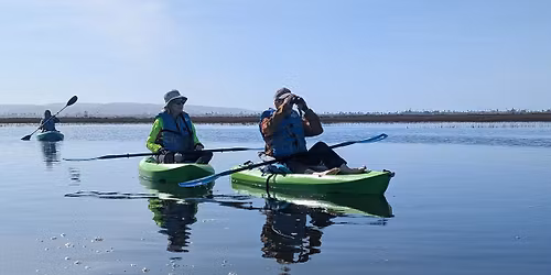 Wildlife Kayaking Eco Tour