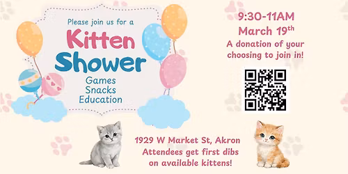 Kitten Shower!!!