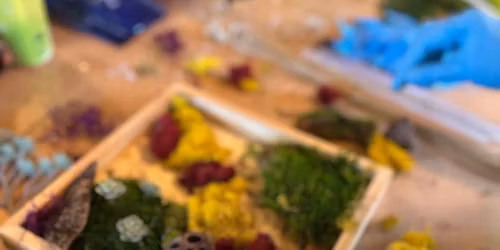 Mini Moss Garden with MonkeyCat Studio