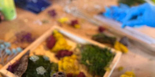 Mini Moss Garden with MonkeyCat Studio