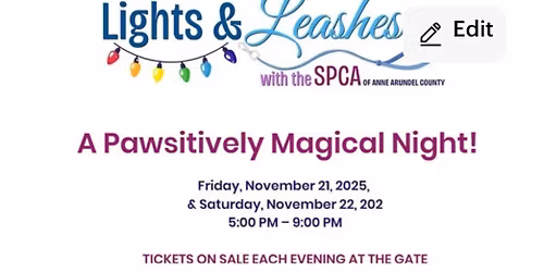 2025 Lights on the Bay (Annapolis)