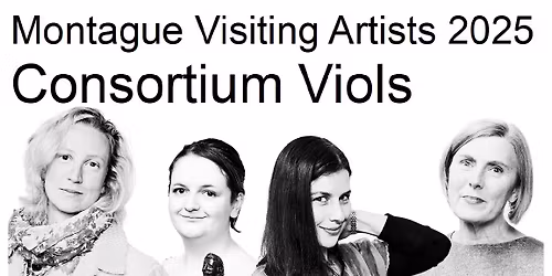 Consortium Viols 
