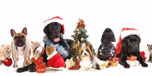 Pet Photos with Santa