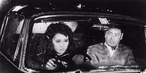 Pale Flower (Noirvember) 